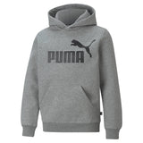 PUMA Jungen Hoodie - ESS Big Logo Hoodie, Rundhals, langarm, uni, Kapuze