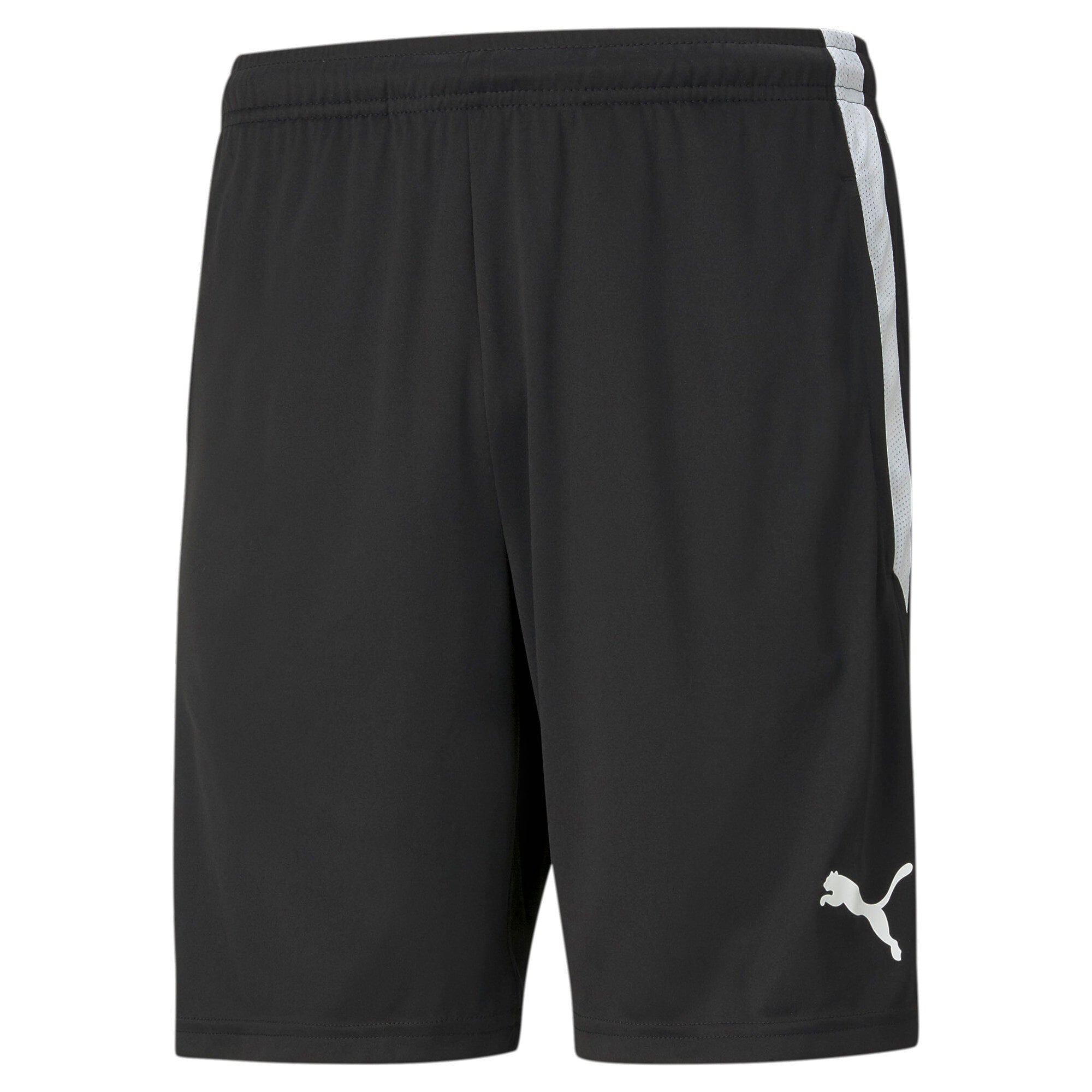 PUMA Men's Shorts - Teamliga Training Shorts, Logo, Polyester, short