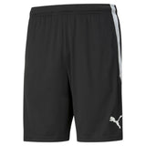 PUMA Men's Shorts - Teamliga Training Shorts, Logo, Polyester, short