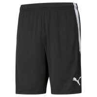 PUMA Herren Shorts - Teamliga Training Shorts, Logo,...